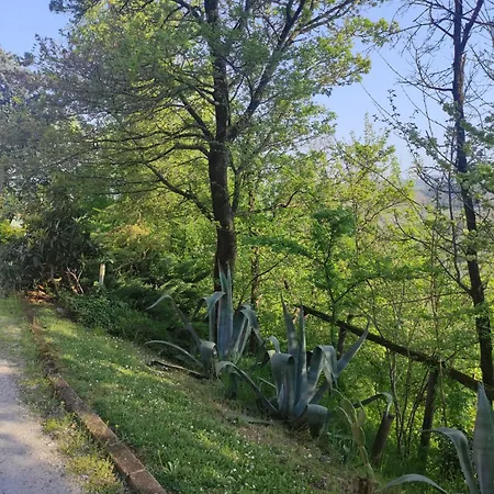 La Pergola Becedasco