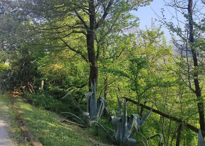 La Pergola Becedasco